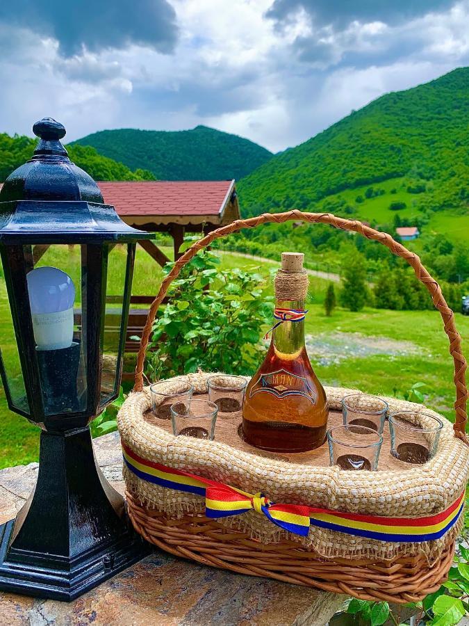 Rustic Cottage Сибиу Экстерьер фото