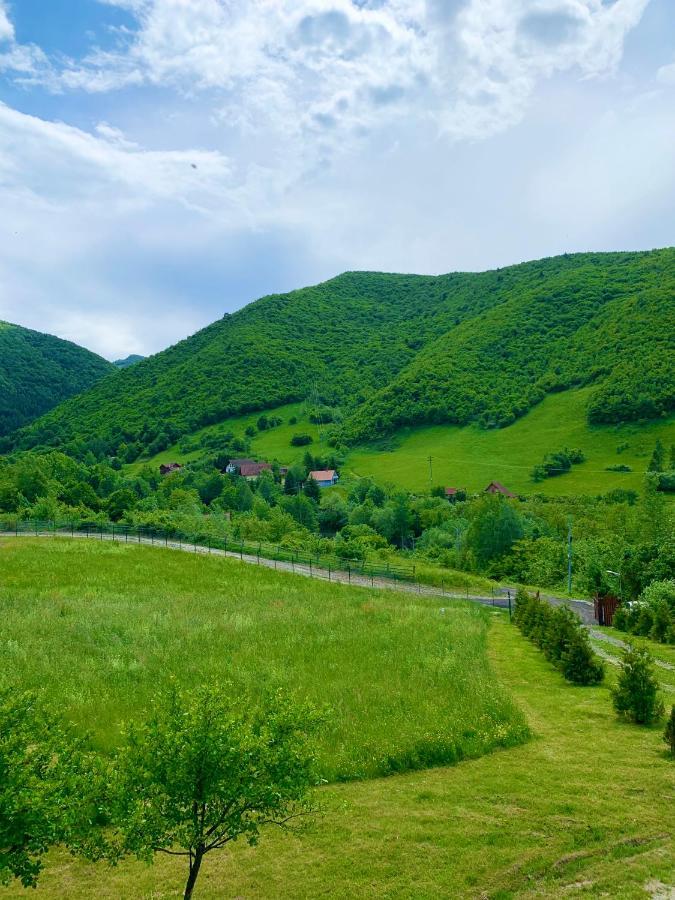 Rustic Cottage Сибиу Экстерьер фото